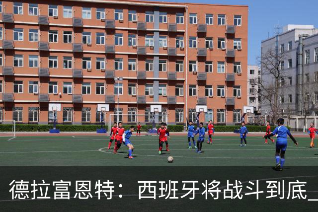 德拉富恩特：西班牙将战斗到底 巴西队仍然是诸强学习的榜样